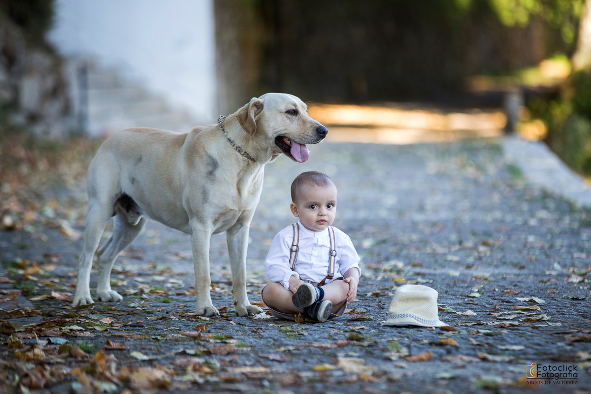 fotógrafo profissional