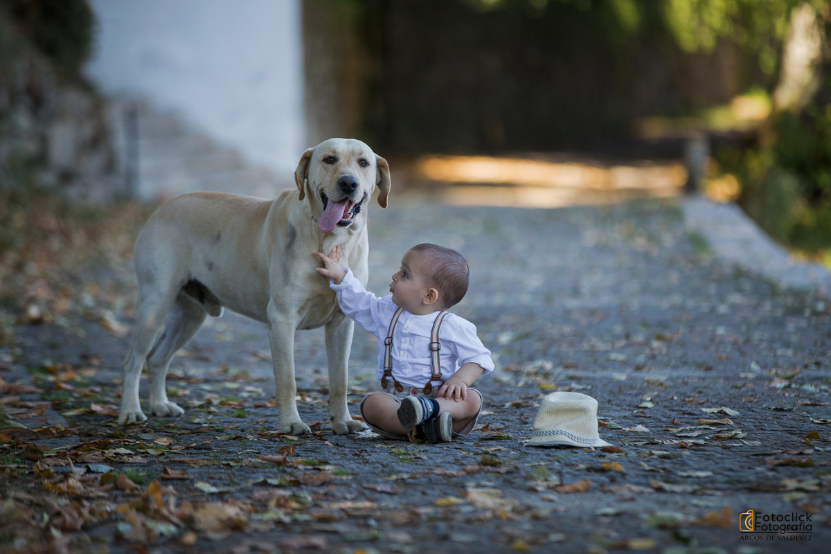 fotógrafo viana do castelo