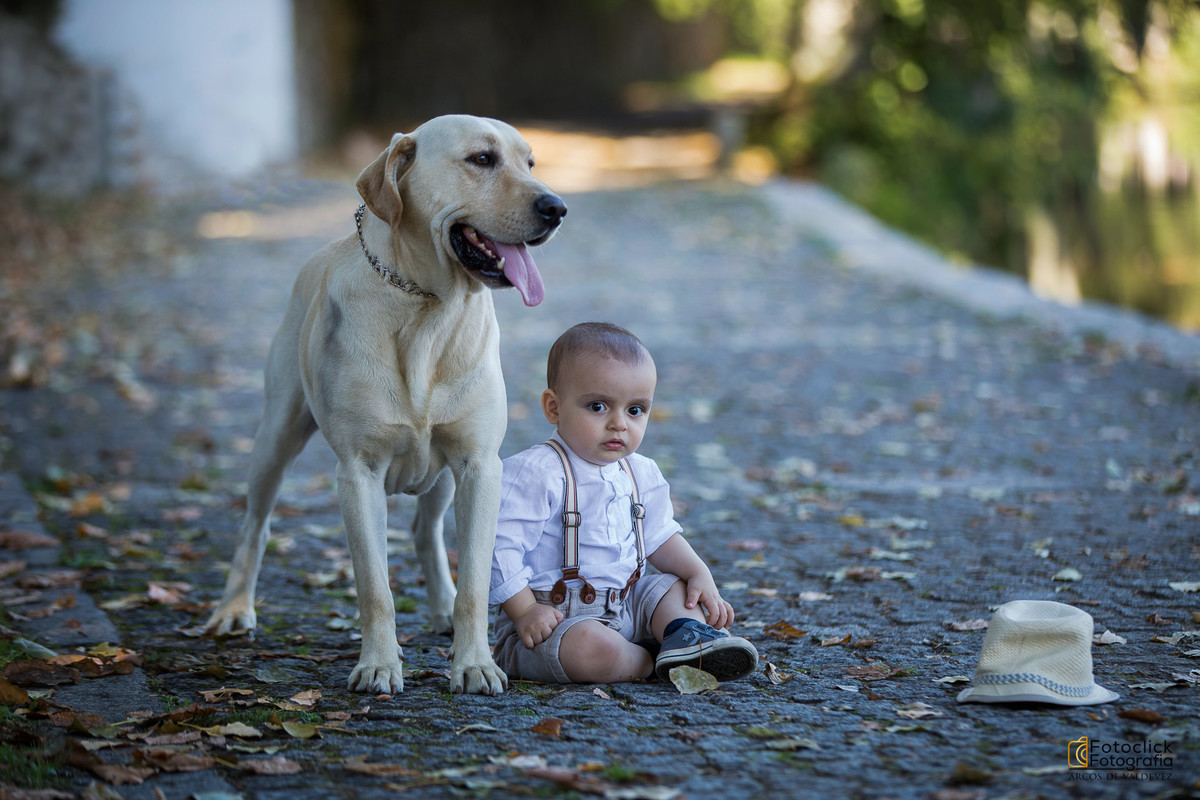 fotografia profissional viana do castelo