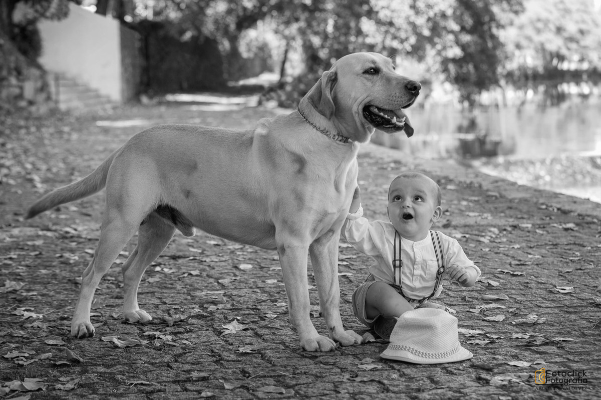 a melhor fotografia profissional