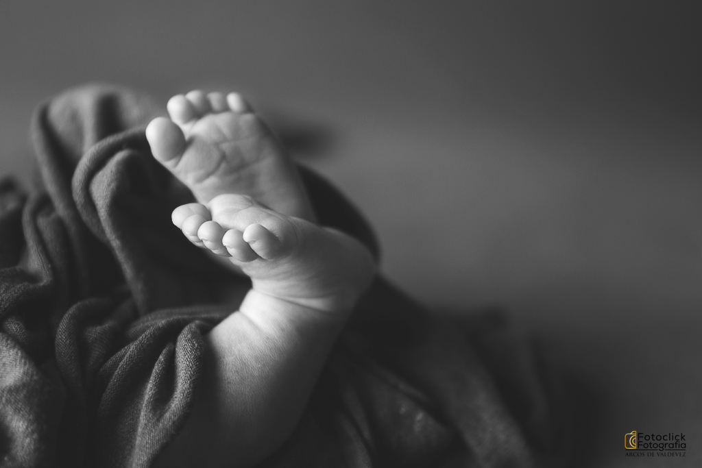 Sessão Fotográfica New Natal