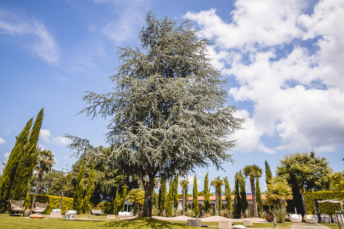 quinta stº André esposende
