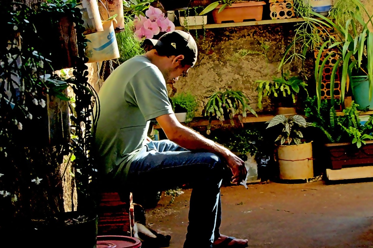 O rapaz sentado durante uma tarde, acende um cigarro, mexe com o pequeno gato... as flores ao seu redor brilham com a luz amarela do sol
