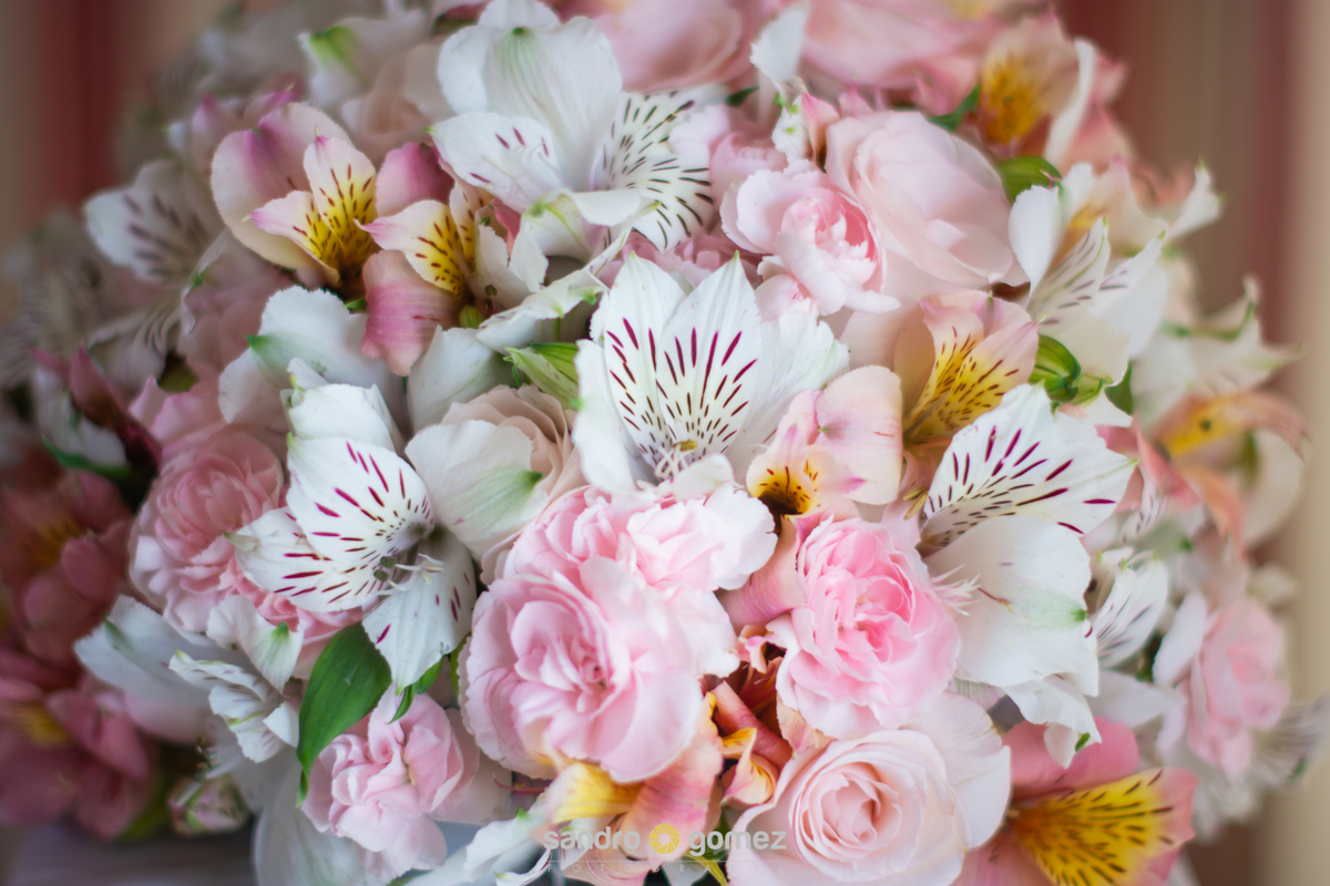 Casamento da Camila Araujo e do Lucas Santos realizado no Engenho da Floresta - Rio Bonito - RJ