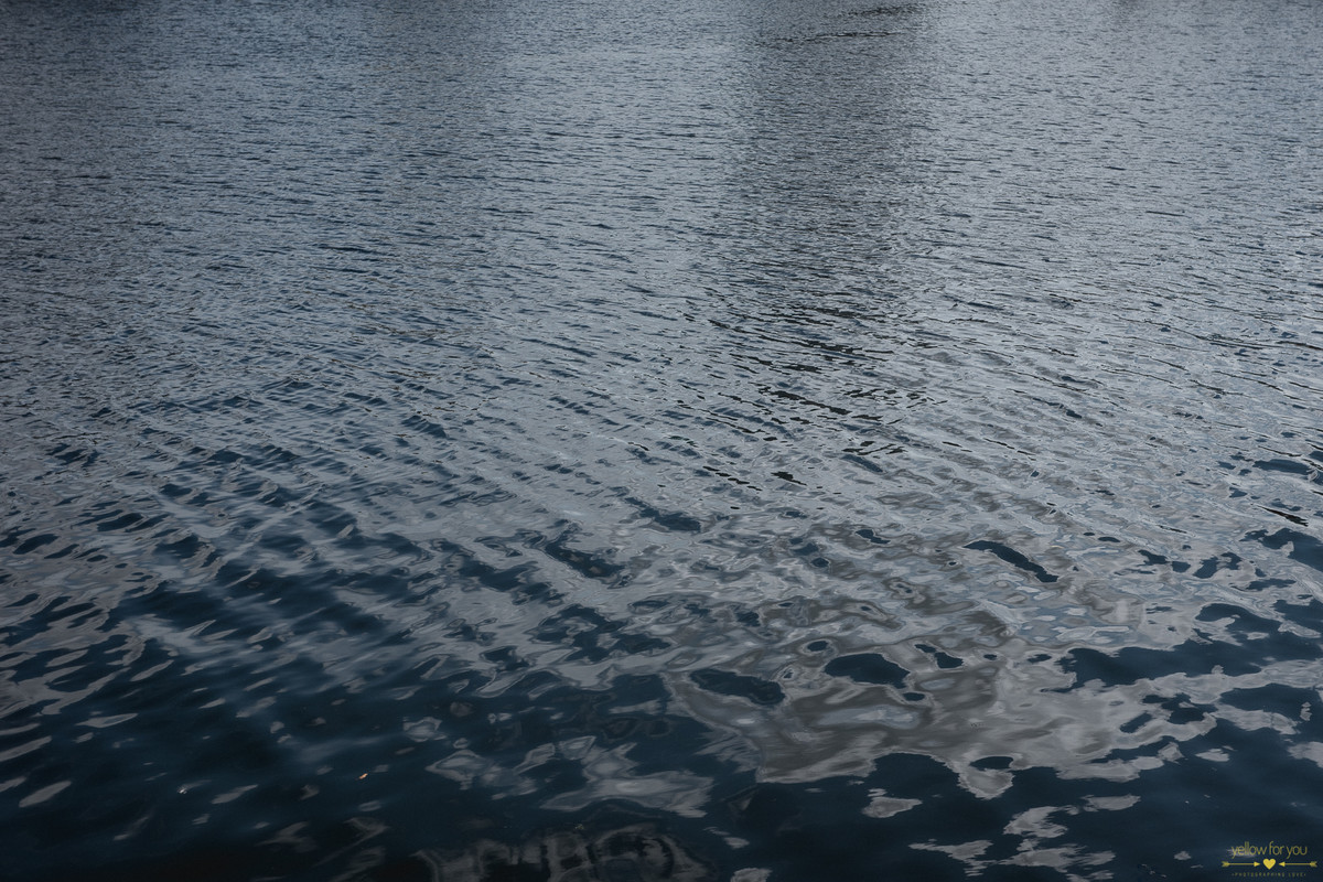 river lee  engagement photo shoot cork ireland 