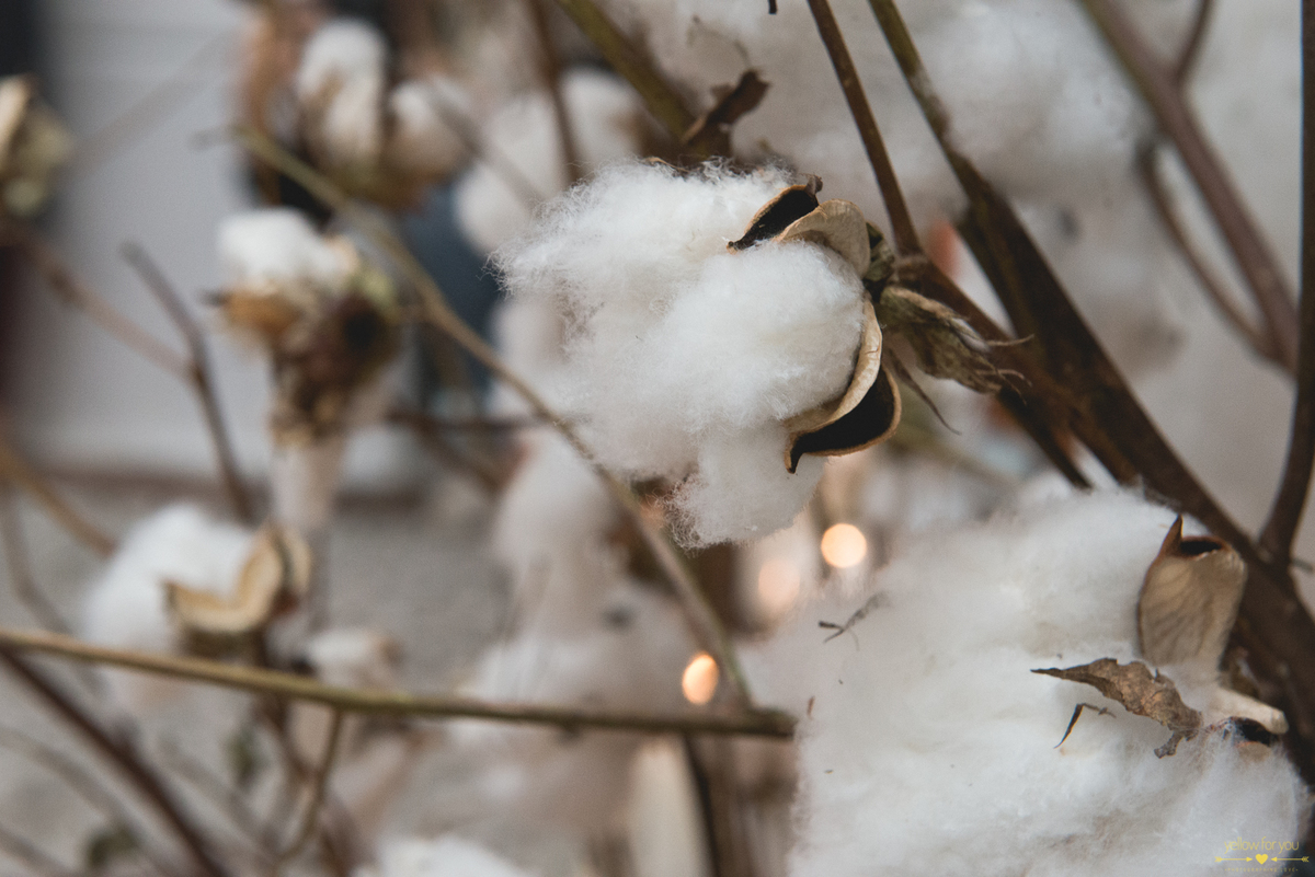 cotton decor