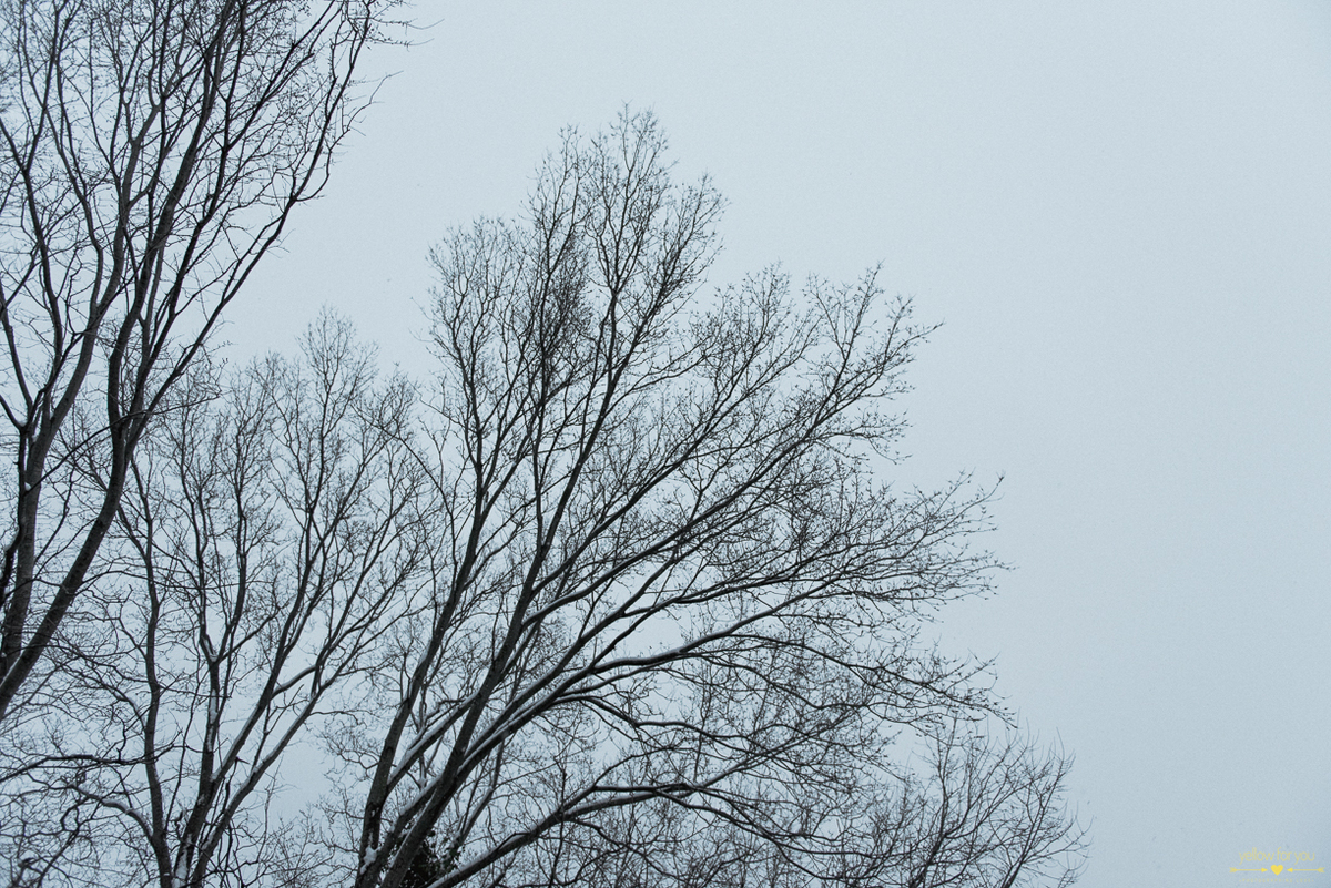  engagement photo shoot cork ireland