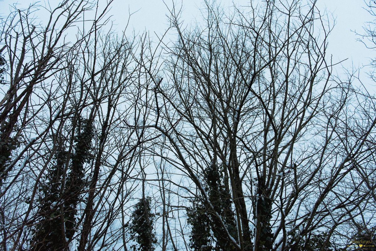  engagement photo shoot cork ireland