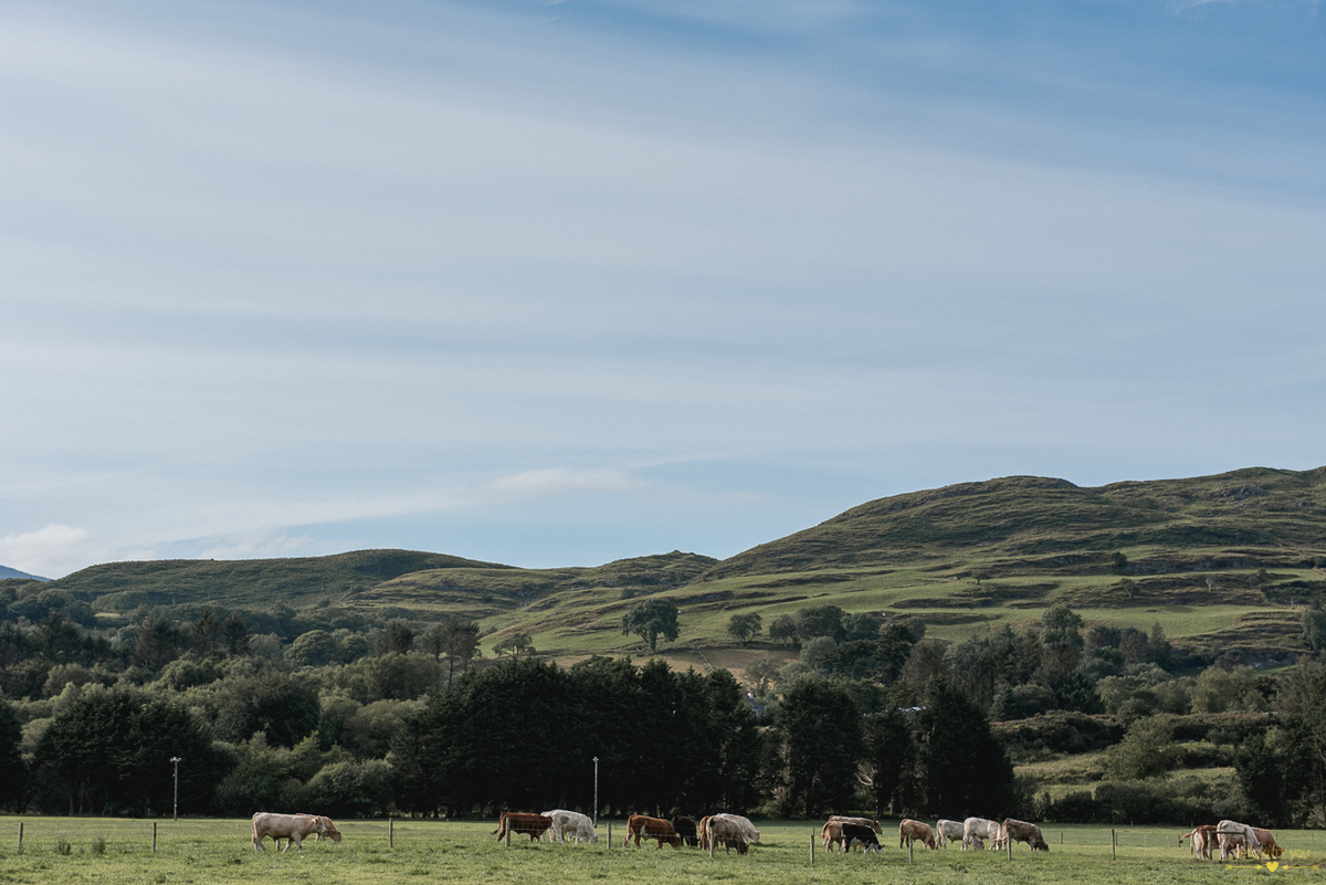 engagement photo shoot cork ireland