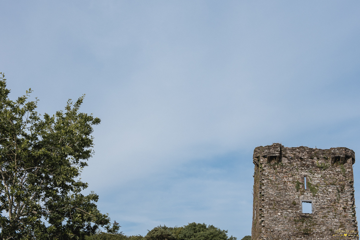castle engagement photo shoot cork ireland
