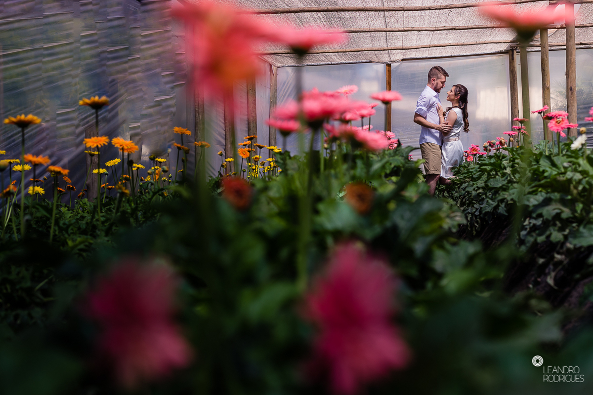 ensaio fotografico, fotografo de casamento, noivos, ensaio na floricultura, ensaio no campo, fotos com flores, buque de noiva, vestido de noiva, fotos na cachoeira, cascata das andorinhas, natureza, decoração de casamento, 