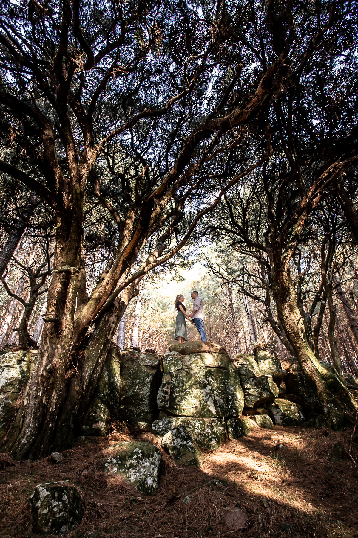casamento, fotografo de casamento, igreja, noivas, vestido de noiva, festa de casamento, fotografo profissional, ensaio na serra, pre-wedding, srra gaucha, roupa de noivo, fotografo porto alegre