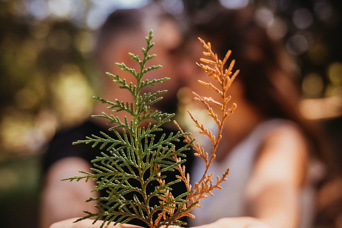 ensaio pre casamento, pre wedding, noivos, fotografo de casamento, ensaio na serra, fotografo porto alegre, noivos, ensaio de casal, vestido de noiva, festa de casamento