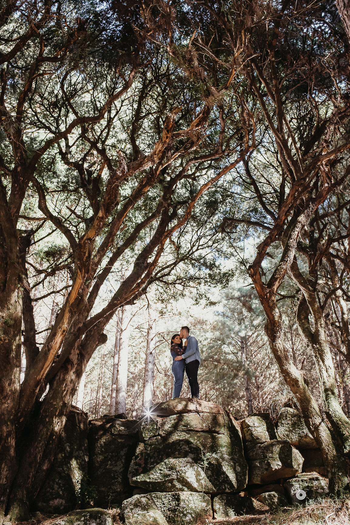 ensaio na serra, ensaio fotografico, ensaio na floresta, pre casamento, pre wedding, fotos de casal, fotografo de casamento, fotografo porto alegre, fotografo rs, vestido de noiva, tedesco eco park