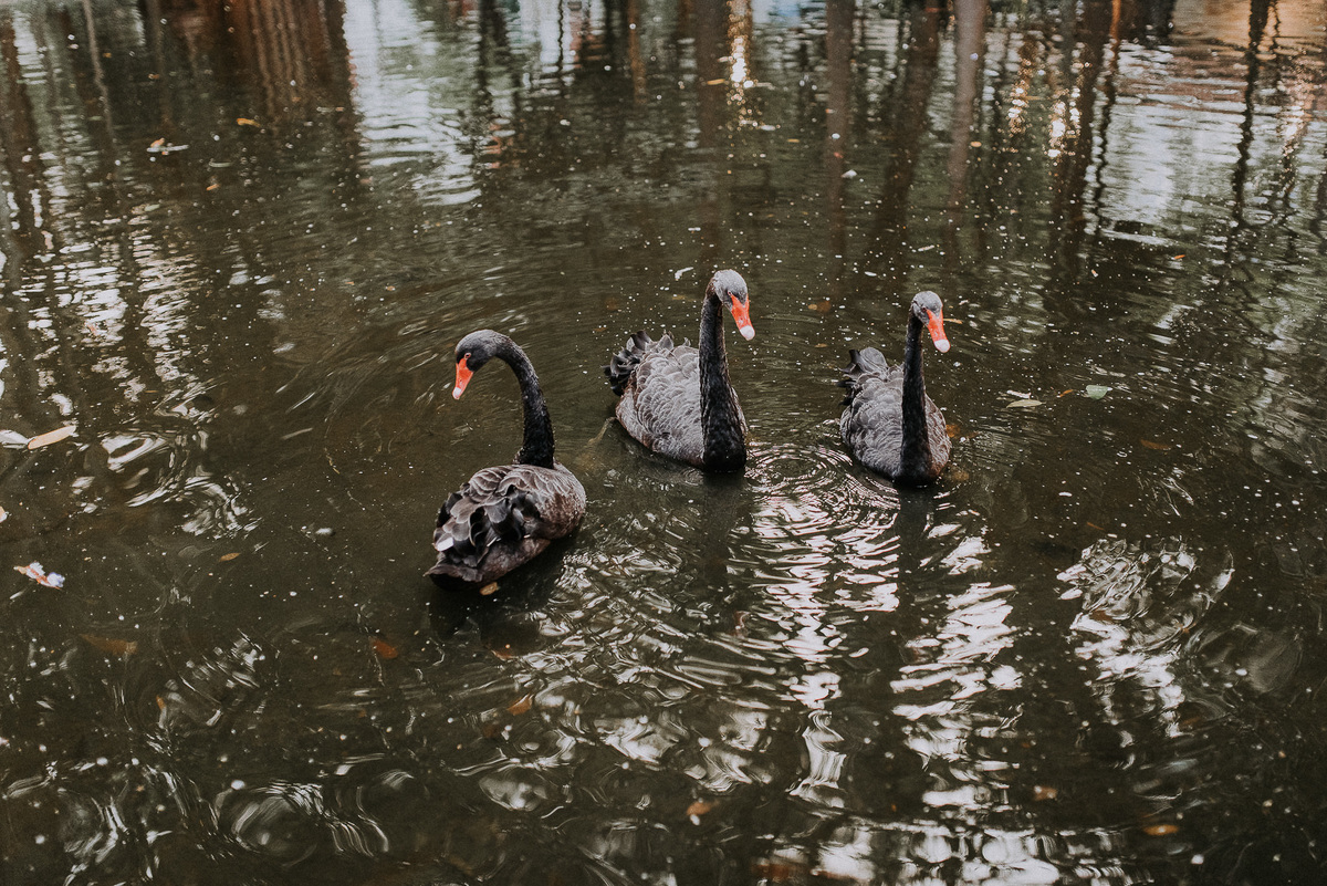 casamento iate clube de santos