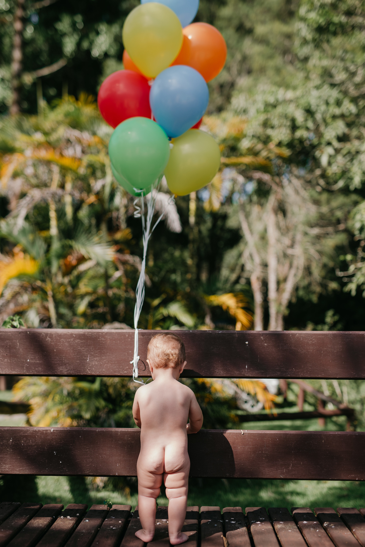 smash-the-cake-são-joão-del-rei