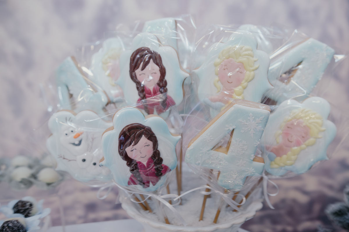 festa-frozen-são-joão-del-rei