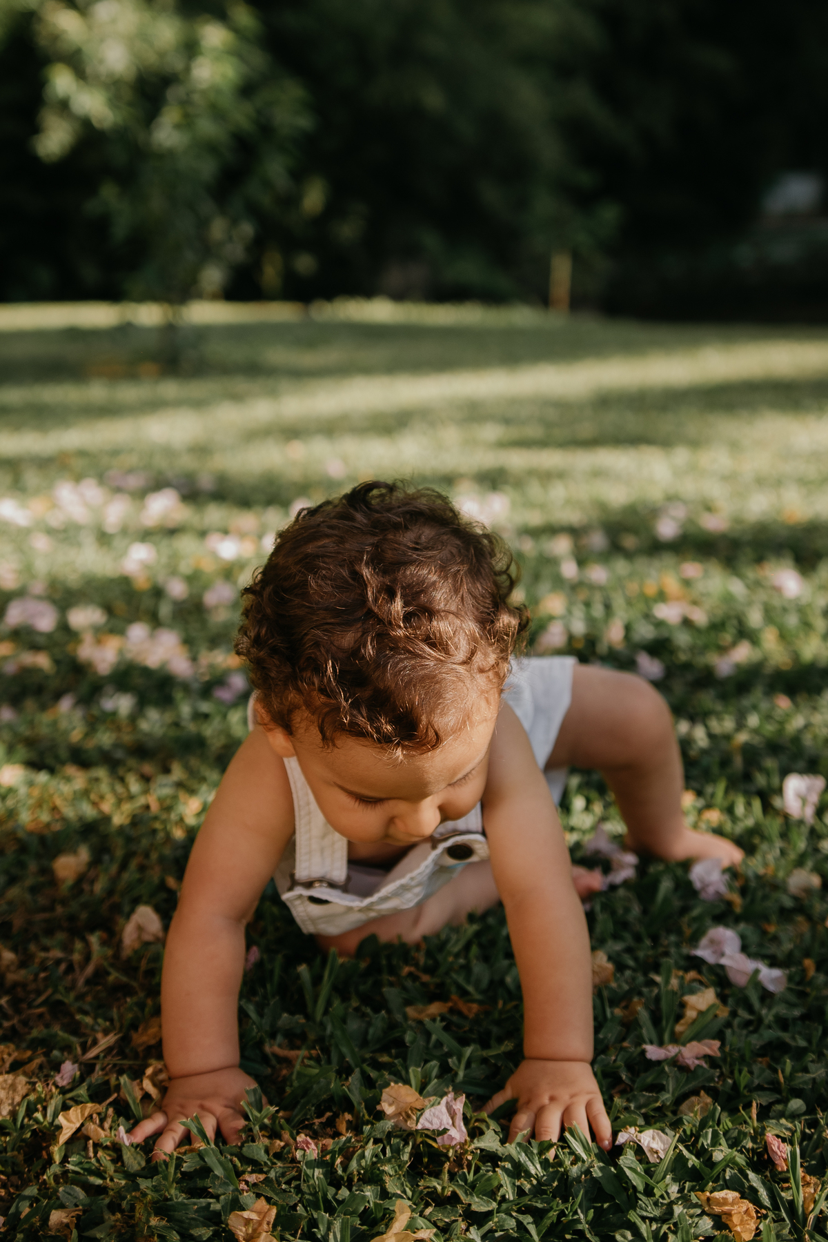 ensaio-externo-1-aninho-tiradentes