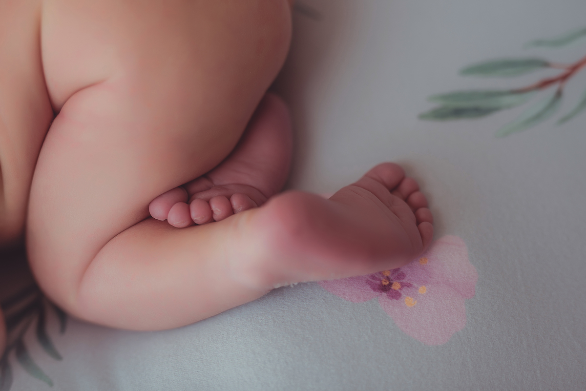 fotografia-newborn-são-joão-del-rei-mg