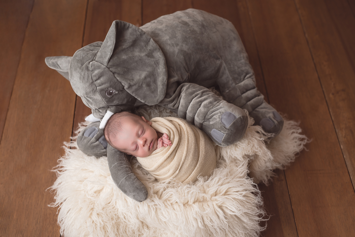 fotografia-newborn-sao-joao-del-rei-mg-estudio