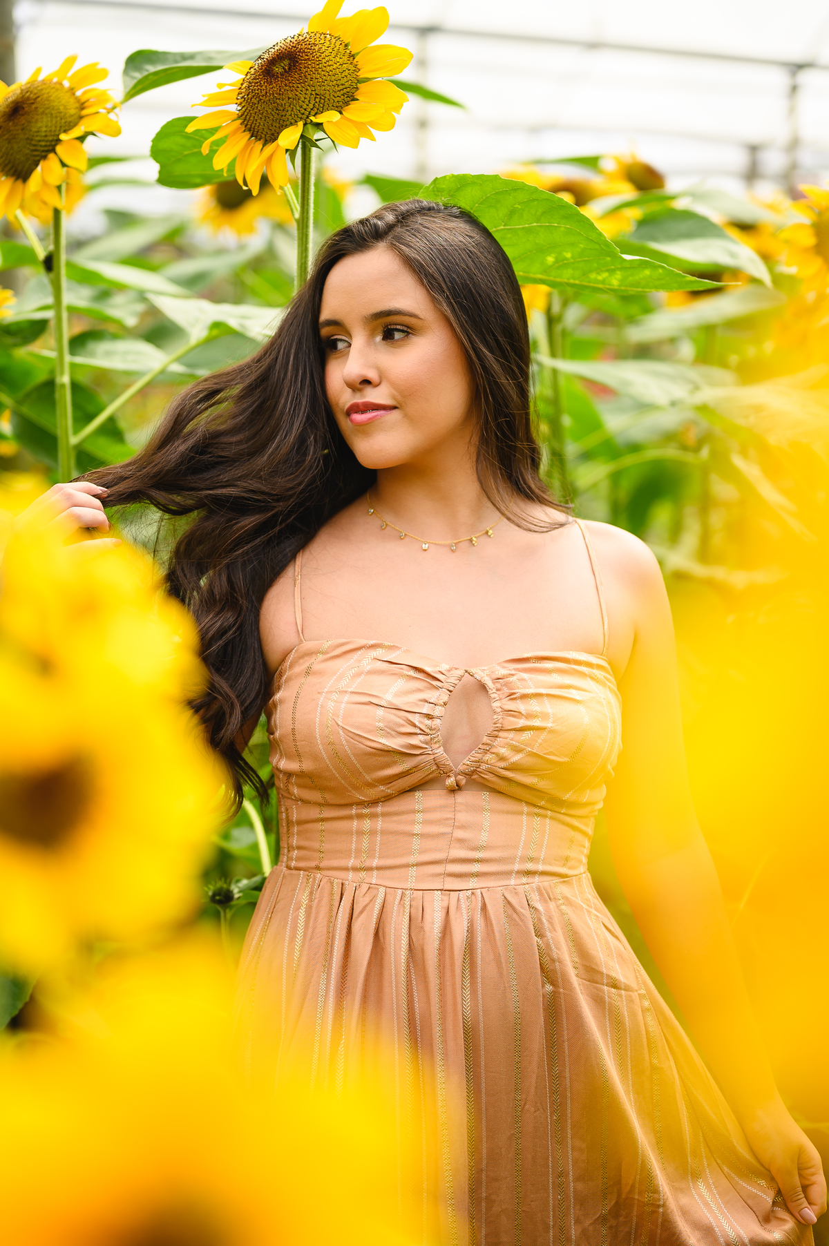 ENSAIO 15 ANOS GIRASSOL