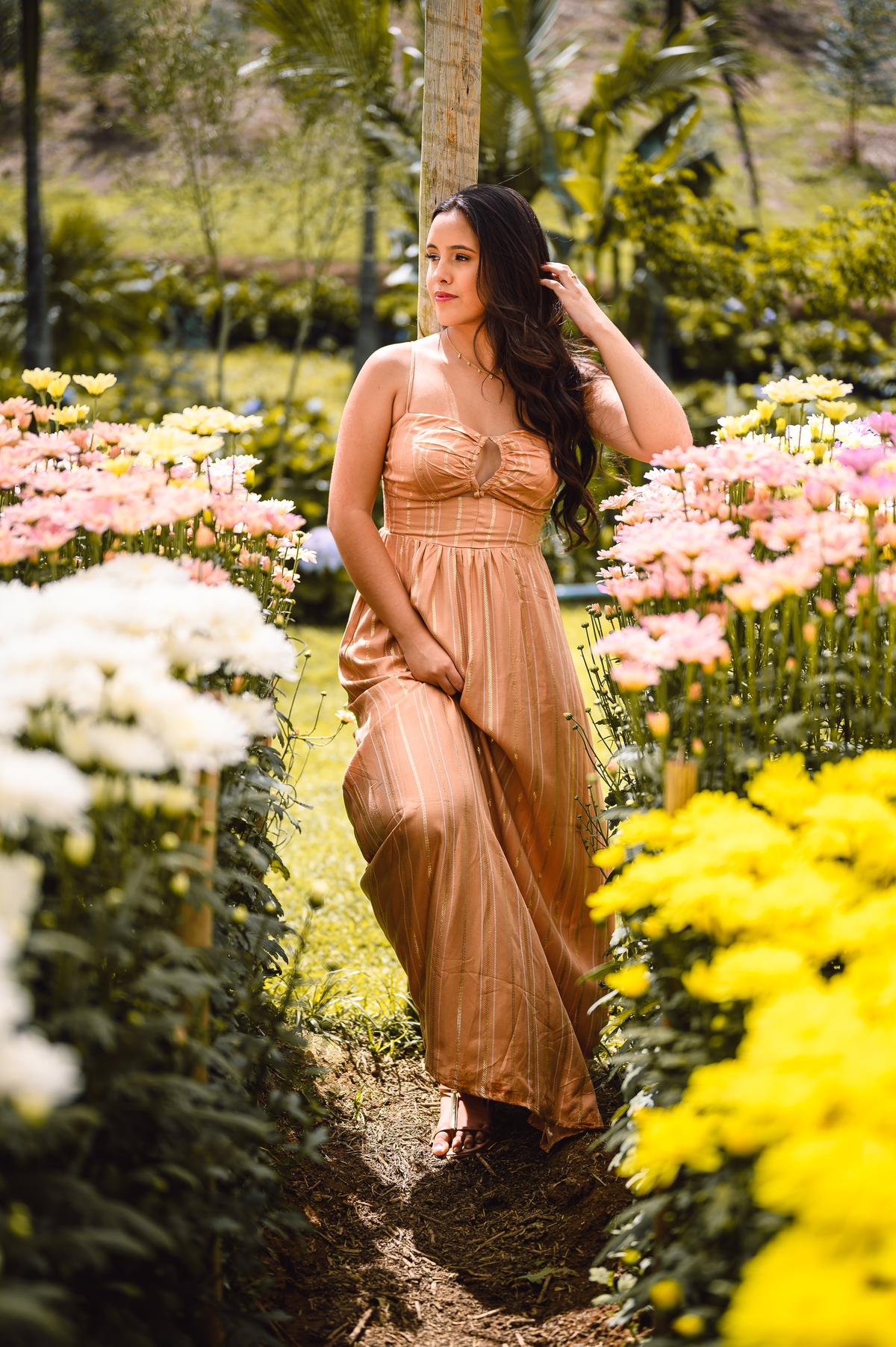 ENSAIO 15 ANOS NOVA FRIBURGO