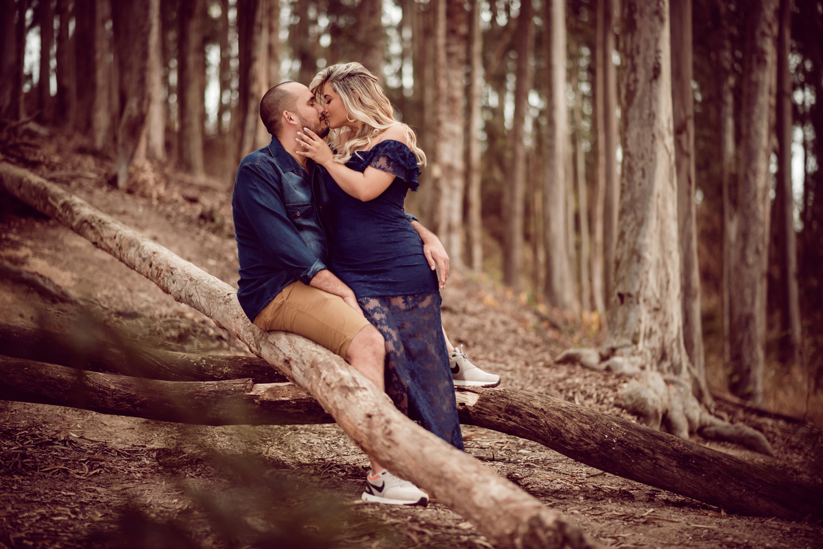 Bosque dos eucaliptos