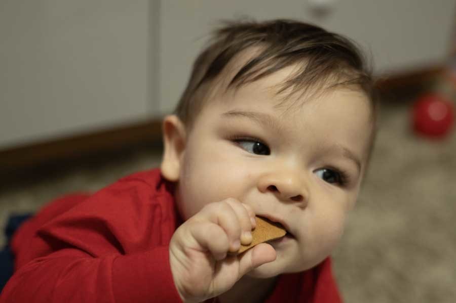 Retrato de bebé de un año con galleta. Fotografía de bebé con luz natural en Querétaro.