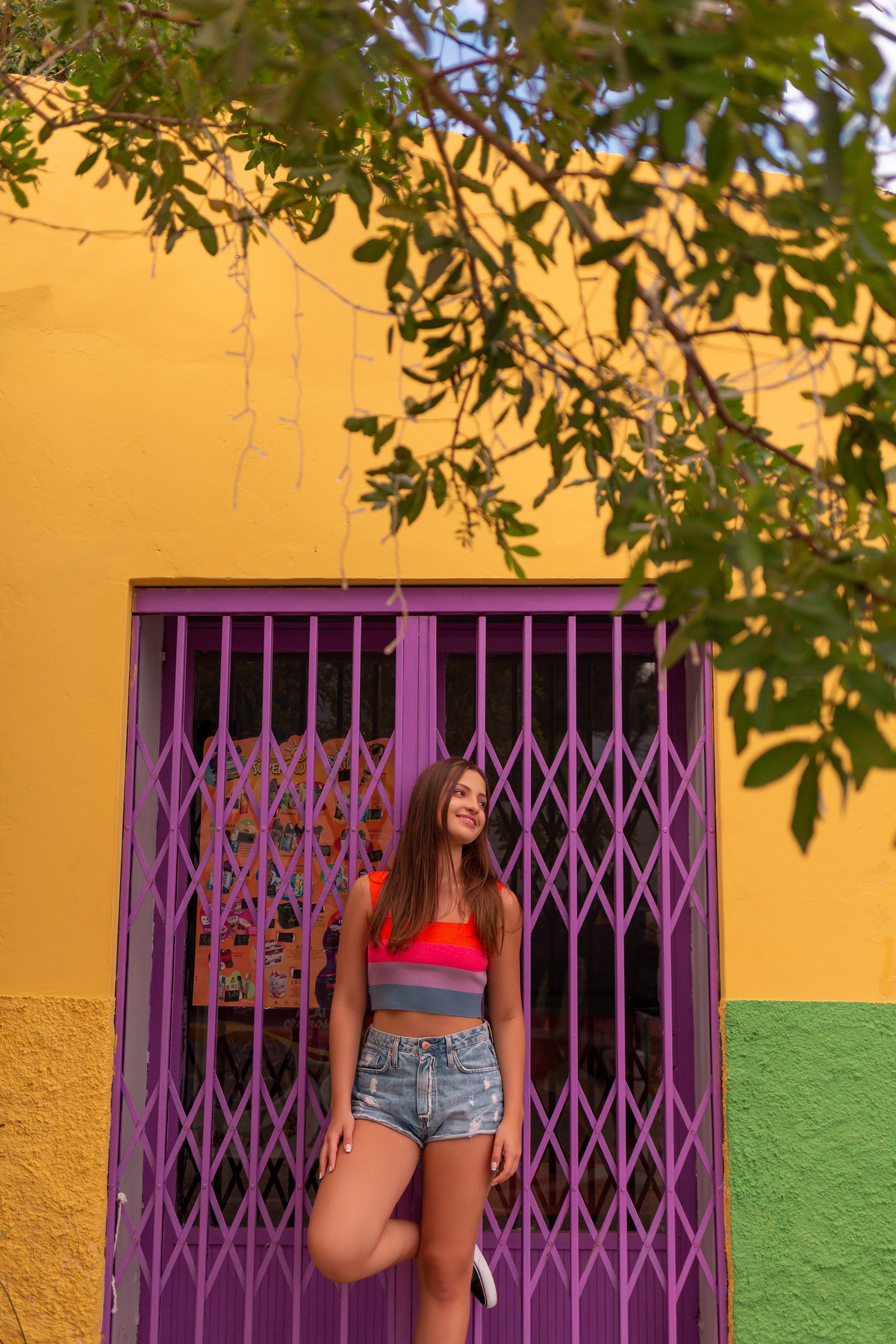 Book-dos-15-anos-ensaio-nascer-do-Sol-Morro-dos-coventos-Ararangua-SC-mar-rio-debutante-quinze-anos-em-Criciuma-fotografa-fotos-instagram-tiktok-foto com pet, cachorro, dog