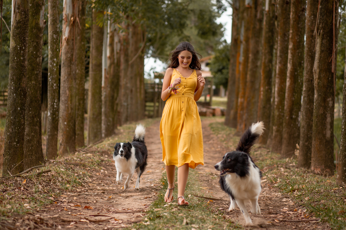 Book dos Quinze Malu. Ensaio de 15 anos, cachorro, carro antigo, cabana, amarelo, collie, natureza, floresta, praia, prancha, fotografia, Osório, Imbé, Tramandai, Araranguá, Sombrio, Criciúma, Tres cachoeiras, Terra de areia, litoral, Gramado, Serra