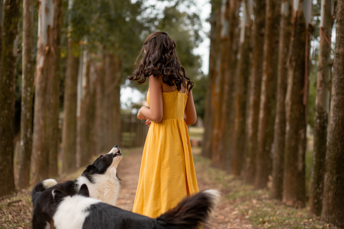 Book dos Quinze Malu. Ensaio de 15 anos, cachorro, carro antigo, cabana, amarelo, collie, natureza, floresta, praia, prancha, fotografia, Osório, Imbé, Tramandai, Araranguá, Sombrio, Criciúma, Tres cachoeiras, Terra de areia, litoral, Gramado, Serra
