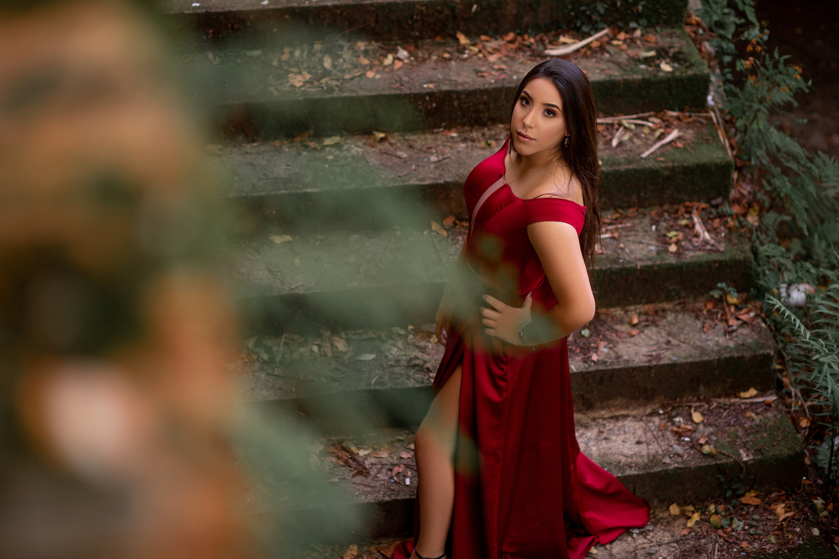 fotógrafa de quinze anos, livros, flores, gramado, Collie de france