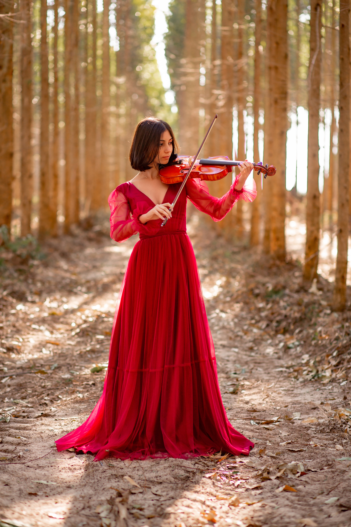 Natureza - Violino - Cavalo - equestre - hipismo - vestido - ararangua - book dos 15 - debutante - 15 anos- debutante - inspiração - floresta - santa catarina - horse - gramado - flor - equestrian - amazonas - lagoa - cavalo branco - Brasileiro de Hipismo
