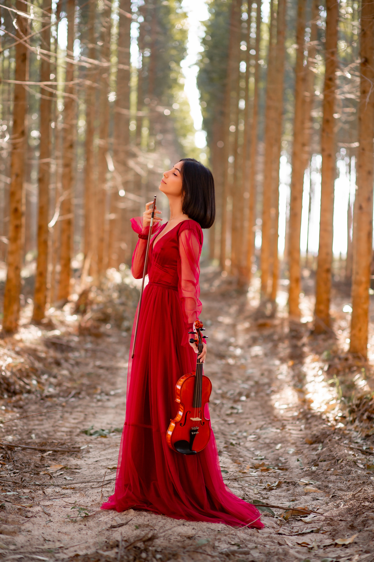 Natureza - Violino - Cavalo - equestre - hipismo - vestido - ararangua - book dos 15 - debutante - 15 anos- debutante - inspiração - floresta - santa catarina - horse - gramado - flor - equestrian - amazonas - lagoa - cavalo branco - Brasileiro de Hipismo