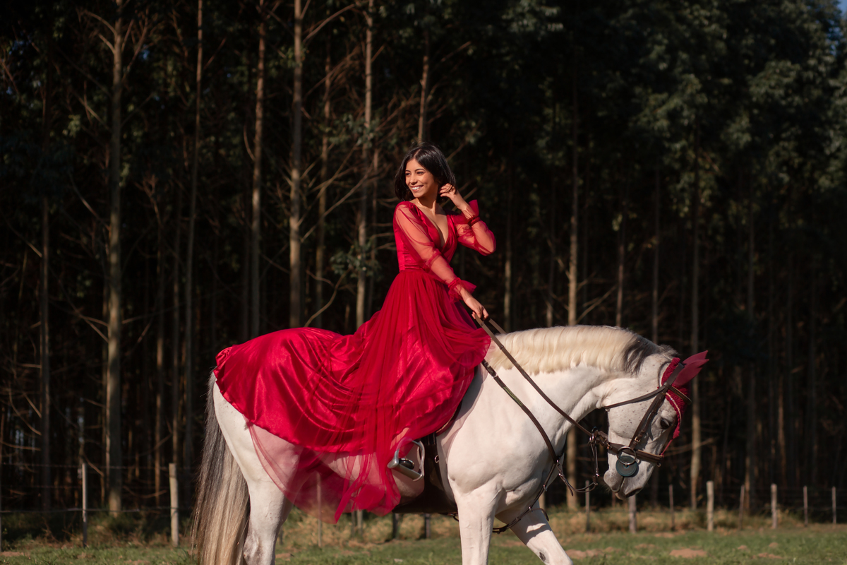 Natureza - Violino - Cavalo - equestre - hipismo - vestido - ararangua - book dos 15 - debutante - 15 anos- debutante - inspiração - floresta - santa catarina - horse - gramado - flor - equestrian - amazonas - lagoa - cavalo branco - Brasileiro de Hipismo