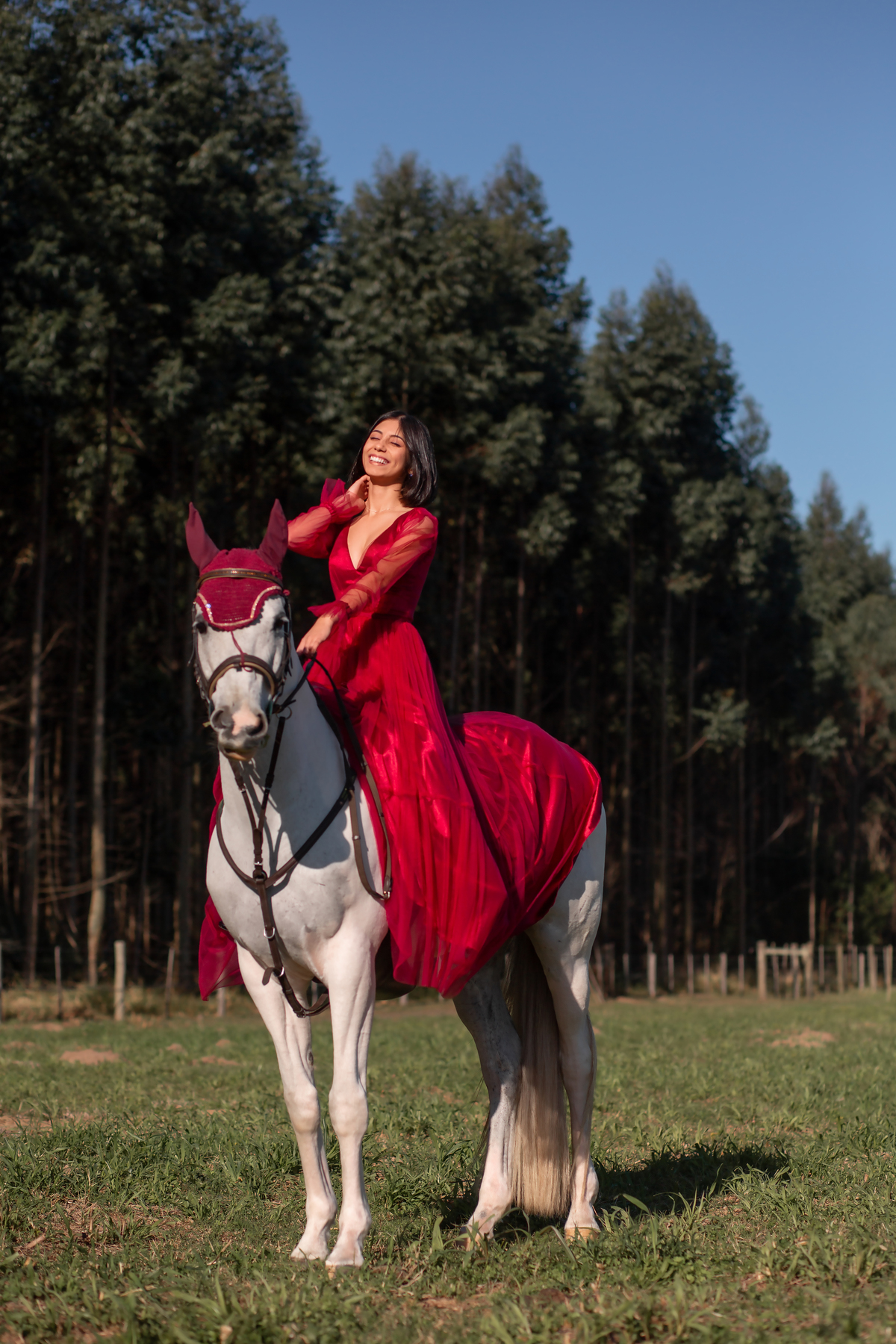 Natureza - Violino - Cavalo - equestre - hipismo - vestido - ararangua - book dos 15 - debutante - 15 anos- debutante - inspiração - floresta - santa catarina - horse - gramado - flor - equestrian - amazonas - lagoa - cavalo branco - Brasileiro de Hipismo