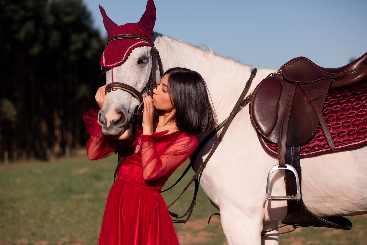 Natureza - Violino - Cavalo - equestre - hipismo - vestido - ararangua - book dos 15 - debutante - 15 anos- debutante - inspiração - floresta - santa catarina - horse - gramado - flor - equestrian - amazonas - lagoa - cavalo branco - Brasileiro de Hipismo