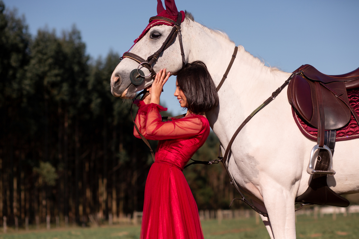 Natureza - Violino - Cavalo - equestre - hipismo - vestido - ararangua - book dos 15 - debutante - 15 anos- debutante - inspiração - floresta - santa catarina - horse - gramado - flor - equestrian - amazonas - lagoa - cavalo branco - Brasileiro de Hipismo