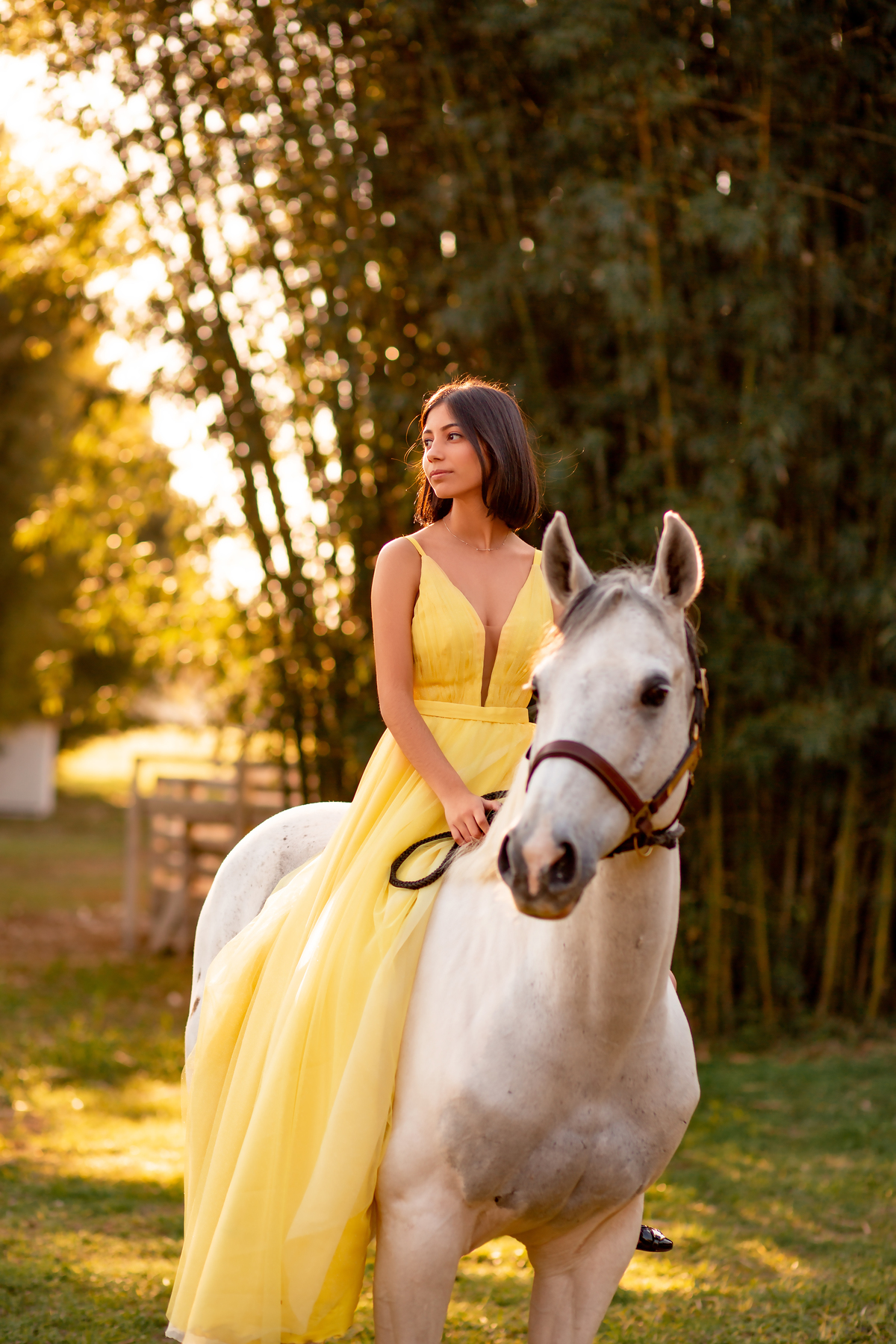Natureza - Violino - Cavalo - equestre - hipismo - vestido - ararangua - book dos 15 - debutante - 15 anos- debutante - inspiração - floresta - santa catarina - horse - gramado - flor - equestrian - amazonas - lagoa - cavalo branco - Brasileiro de Hipismo