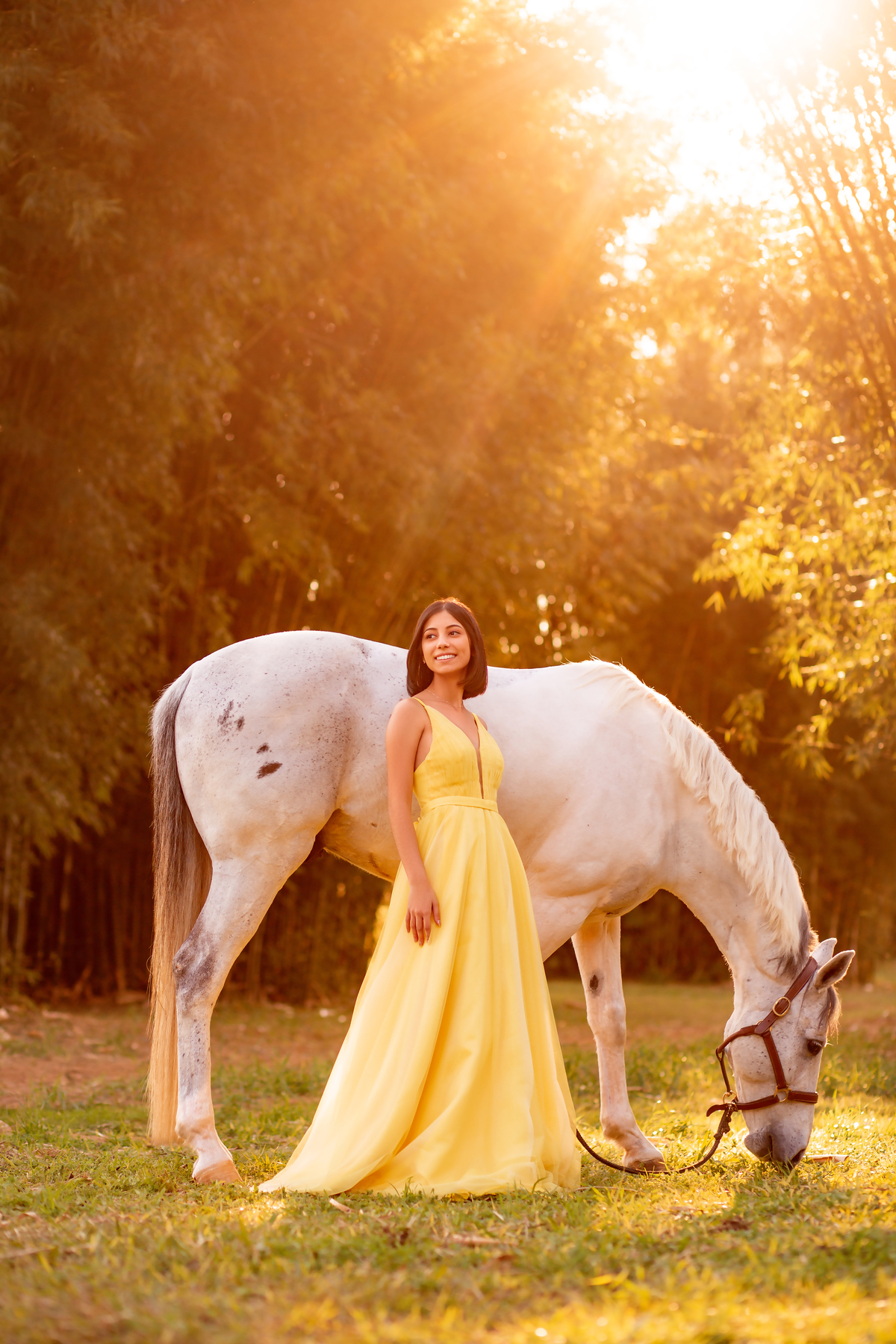 Natureza - Violino - Cavalo - equestre - hipismo - vestido - ararangua - book dos 15 - debutante - 15 anos- debutante - inspiração - floresta - santa catarina - horse - gramado - flor - equestrian - amazonas - lagoa - cavalo branco - Brasileiro de Hipismo