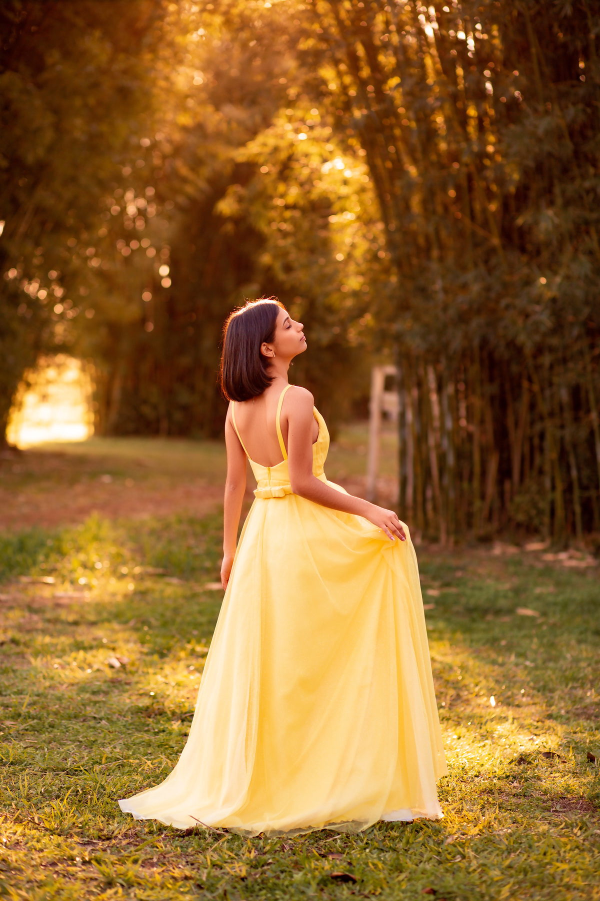 Natureza - Violino - Cavalo - equestre - hipismo - vestido - ararangua - book dos 15 - debutante - 15 anos- debutante - inspiração - floresta - santa catarina - horse - gramado - flor - equestrian - amazonas - lagoa - cavalo branco - Brasileiro de Hipismo