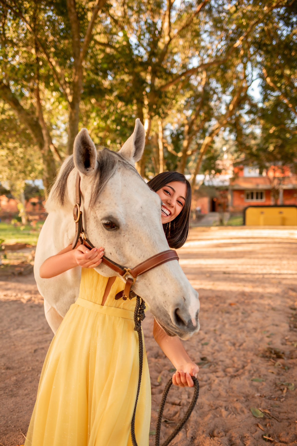 Natureza - Violino - Cavalo - equestre - hipismo - vestido - ararangua - book dos 15 - debutante - 15 anos- debutante - inspiração - floresta - santa catarina - horse - gramado - flor - equestrian - amazonas - lagoa - cavalo branco - Brasileiro de Hipismo