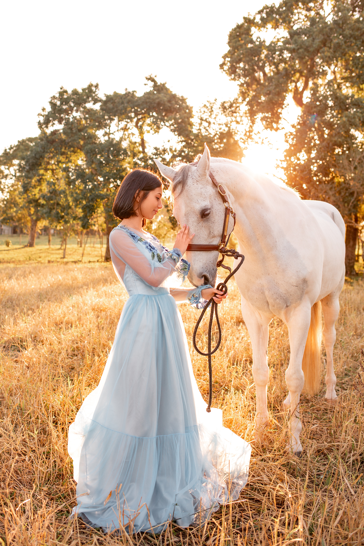 Natureza - Violino - Cavalo - equestre - hipismo - vestido - ararangua - book dos 15 - debutante - 15 anos- debutante - inspiração - floresta - santa catarina - horse - gramado - flor - equestrian - amazonas - lagoa - cavalo branco - Brasileiro de Hipismo