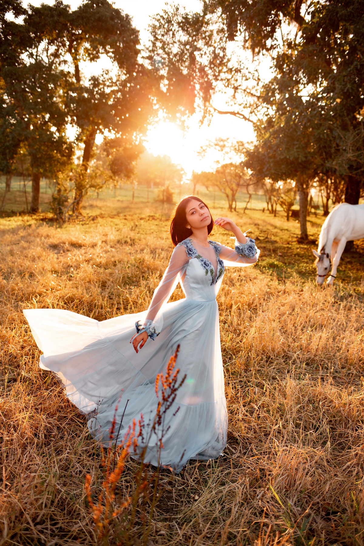 Natureza - Violino - Cavalo - equestre - hipismo - vestido - ararangua - book dos 15 - debutante - 15 anos- debutante - inspiração - floresta - santa catarina - horse - gramado - flor - equestrian - amazonas - lagoa - cavalo branco - Brasileiro de Hipismo