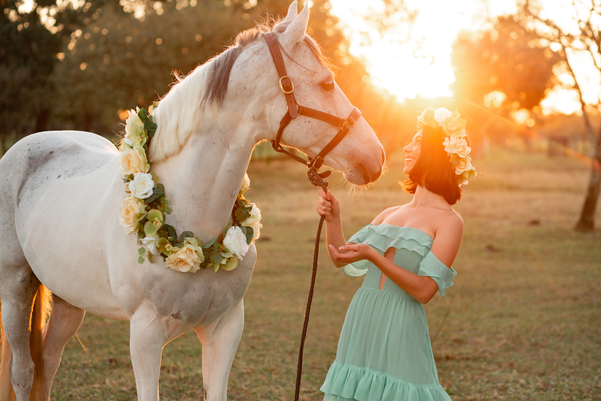 Natureza - Violino - Cavalo - equestre - hipismo - vestido - ararangua - book dos 15 - debutante - 15 anos- debutante - inspiração - floresta - santa catarina - horse - gramado - flor - equestrian - amazonas - lagoa - cavalo branco - Brasileiro de Hipismo