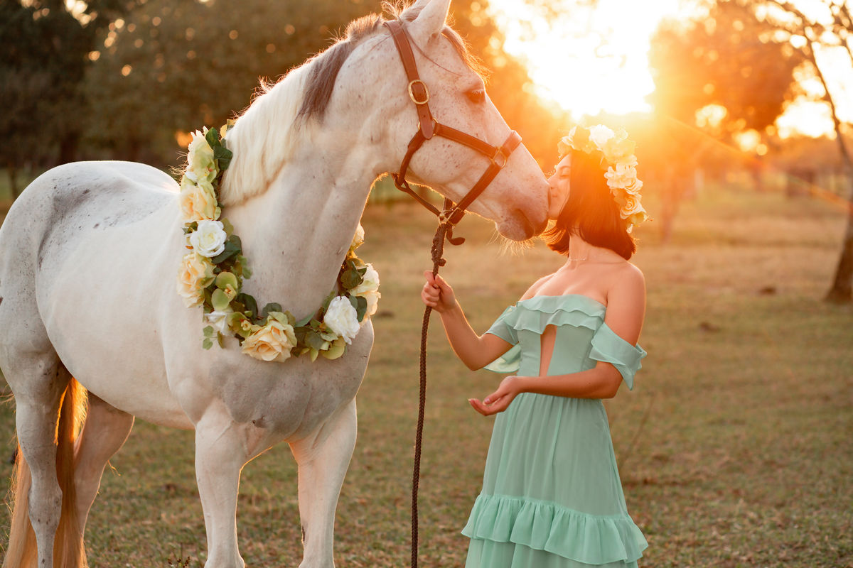 Natureza - Violino - Cavalo - equestre - hipismo - vestido - ararangua - book dos 15 - debutante - 15 anos- debutante - inspiração - floresta - santa catarina - horse - gramado - flor - equestrian - amazonas - lagoa - cavalo branco - Brasileiro de Hipismo