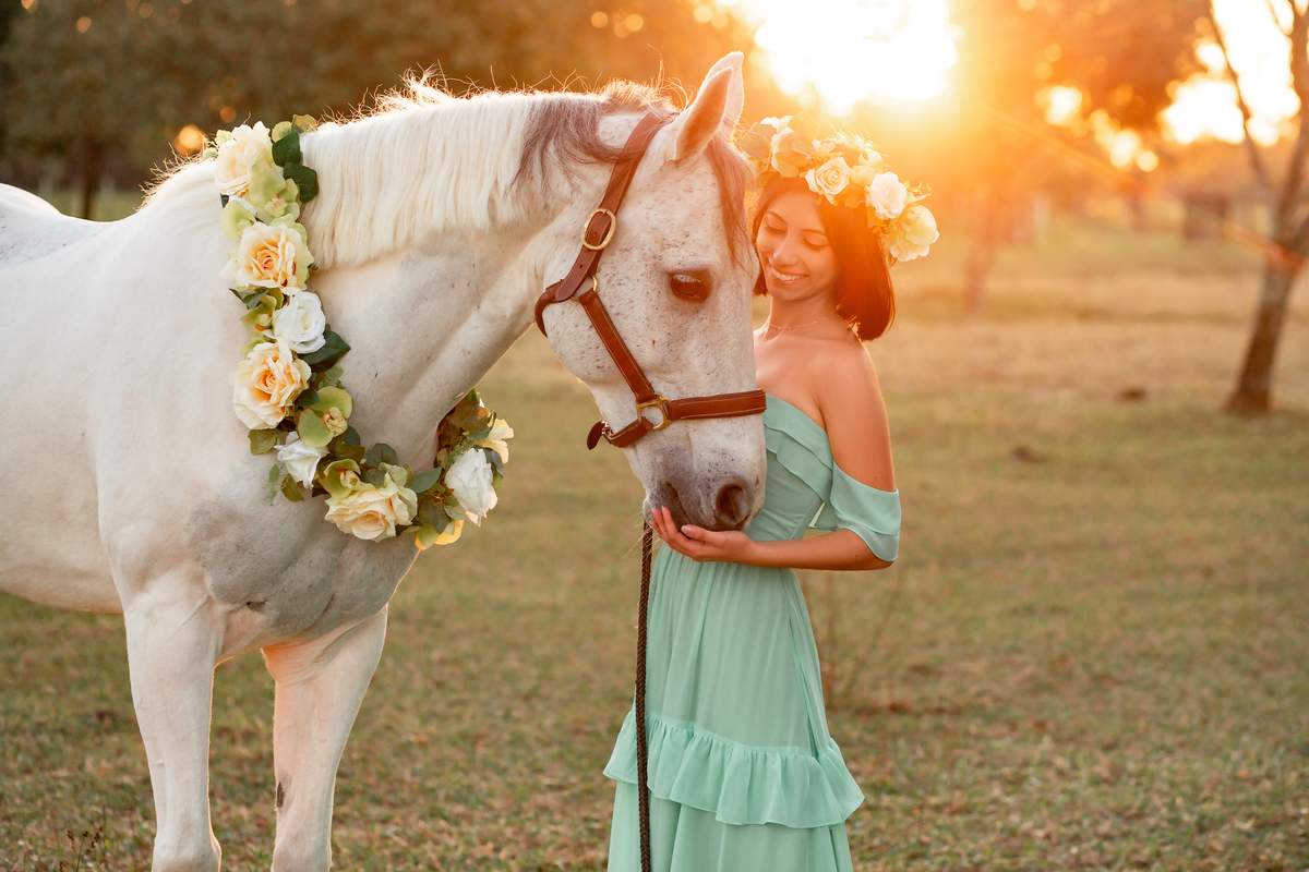 Natureza - Violino - Cavalo - equestre - hipismo - vestido - ararangua - book dos 15 - debutante - 15 anos- debutante - inspiração - floresta - santa catarina - horse - gramado - flor - equestrian - amazonas - lagoa - cavalo branco - Brasileiro de Hipismo