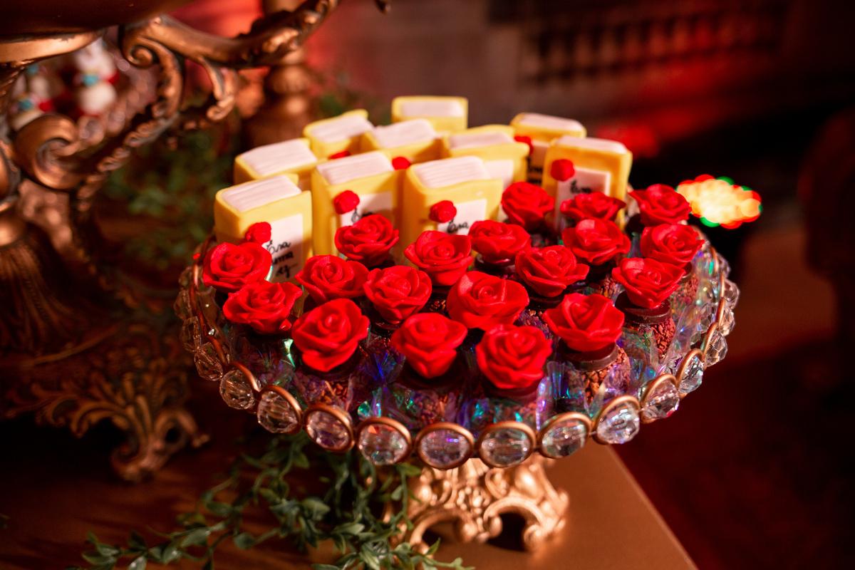 fotografia e Festa de 15 anos a Bela e a Fera, deocoração, disney, vestido de Bela, amerelo, rosas vermelhas, quinze anos, debuntante, ensaio de 15 anos, fantasia fera, balada de 15, Sítio do Cássio, Balnerario Gaivota, Sombrio, ararangua, Santa Cataria