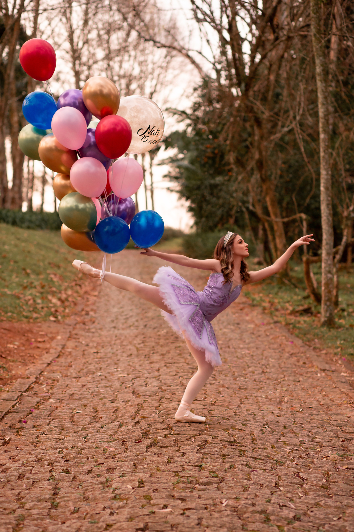 ballet, balé, plie, sapatilha, Criciuma, Princesa, vestido noivas e casais, Castelo em Cocal do Sul, Criciuma, Ararangua, Florianópolis, 15 anos, debutante, street, foto, fotografa, fumaça colorida, natureza, Gramado, Serra gaúcha