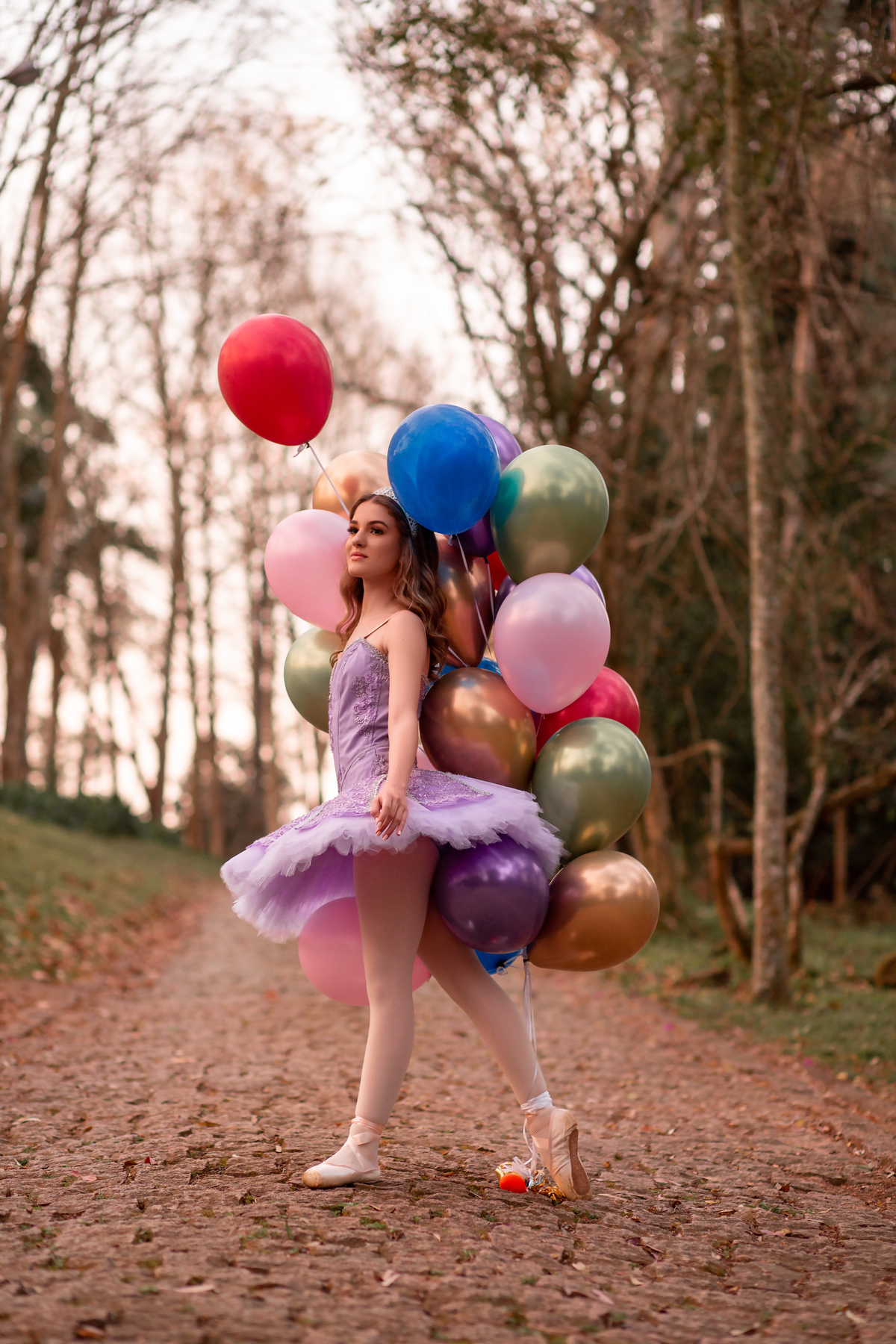 ballet, balé, plie, sapatilha, Criciuma, Princesa, vestido noivas e casais, Castelo em Cocal do Sul, Criciuma, Ararangua, Florianópolis, 15 anos, debutante, street, foto, fotografa, fumaça colorida, natureza, Gramado, Serra gaúcha